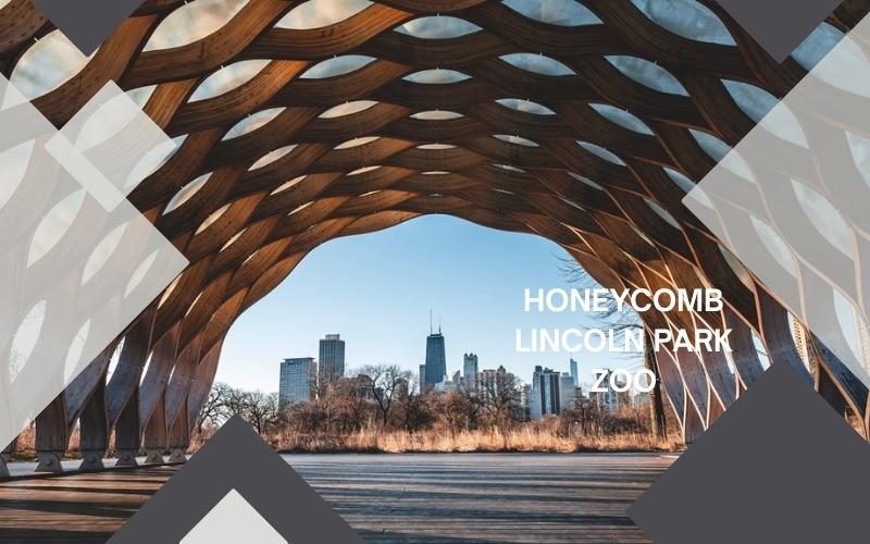 Honeycomb-Lincoln Park